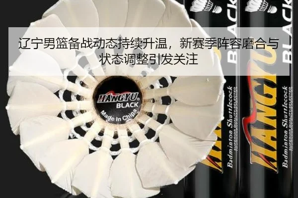 辽宁男篮备战动态持续升温，新赛季阵容磨合与状态调整引发关注